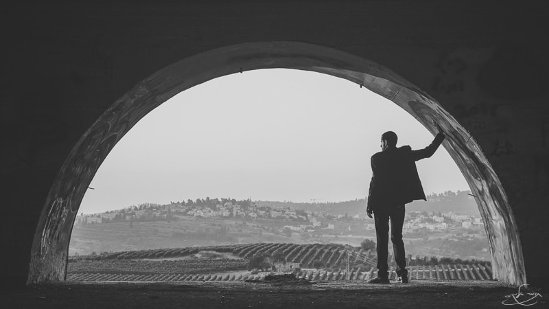 צילום: תומר אלמקייס