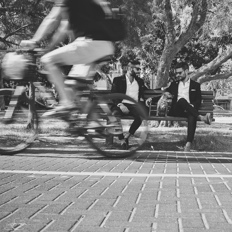 צילום: תומר אלמקייס